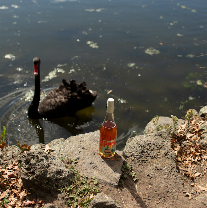 Park Wine Orange