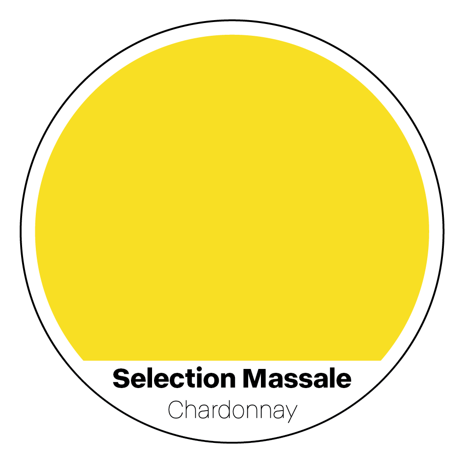 2024 Selection Massale Chardonnay 20L Keg