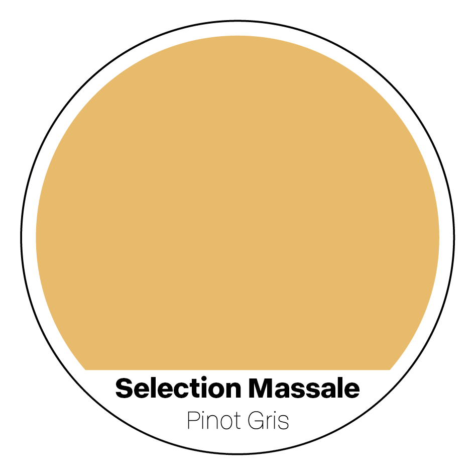 2024 Selection Massale Pinot Gris 20L Keg