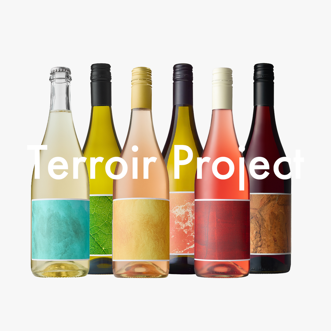 Terroir Project All White Wines Mixed Case of 12 Deal