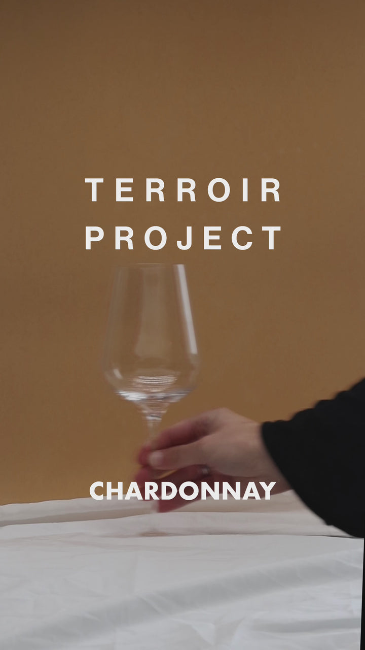 2022 Terroir Project Chardonnay - Pre-Order Case of 12 Deal