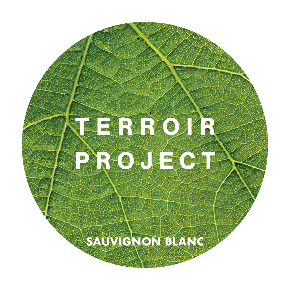 2025 Terroir Project Sauvignon Blanc 20L Keg