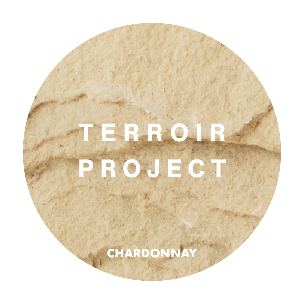 2024 Terroir Project Chardonnay 20L Keg